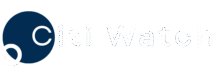 Citi Watch